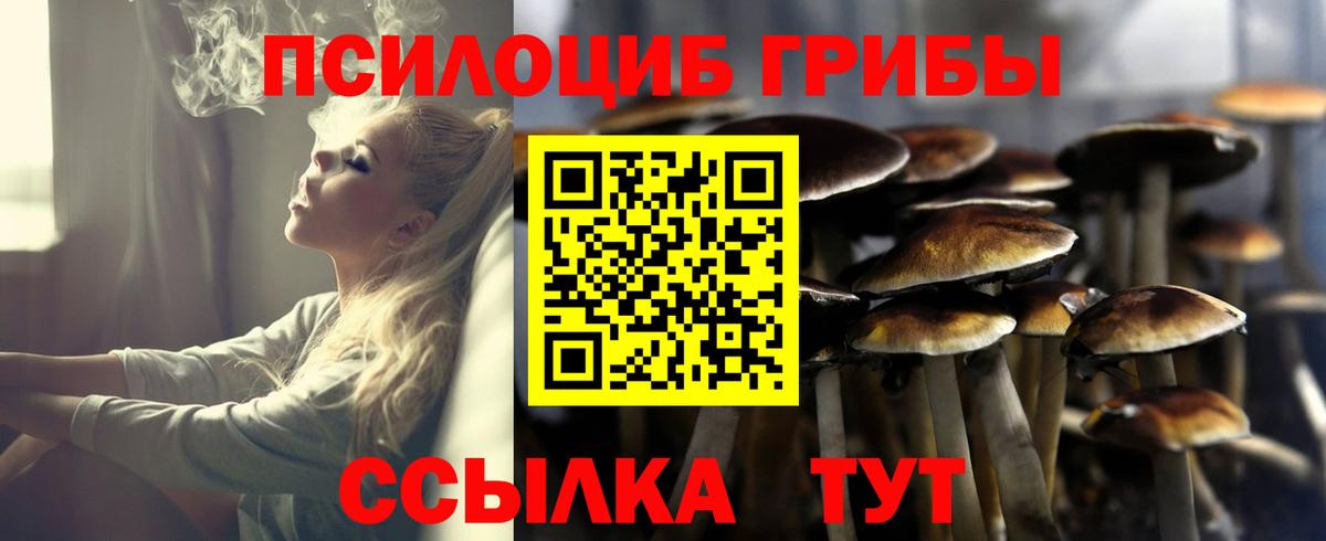 Ливны  Псилоцибиновые грибы Magic Shrooms  Вход с VPN 